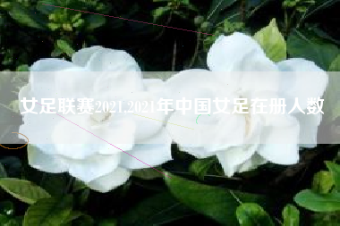 女足联赛2021,2021年中国女足在册人数