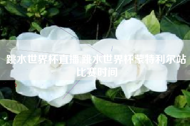 跳水世界杯直播,跳水世界杯蒙特利尔站比赛时间