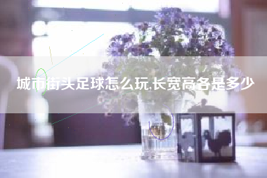城市街头足球怎么玩,长宽高各是多少