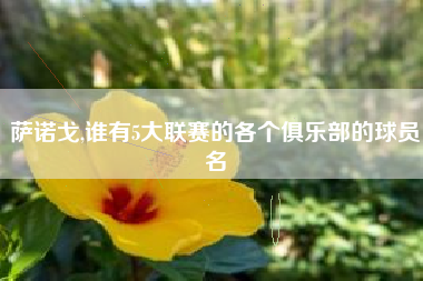萨诺戈,谁有5大联赛的各个俱乐部的球员名