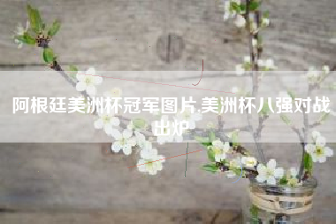 阿根廷美洲杯冠军图片,美洲杯八强对战出炉