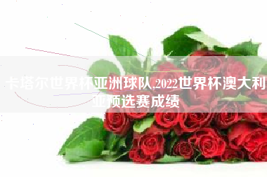 卡塔尔世界杯亚洲球队,2022世界杯澳大利亚预选赛成绩