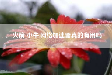 火箭 小牛,网络加速器真的有用吗