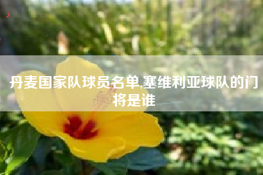丹麦国家队球员名单,塞维利亚球队的门将是谁