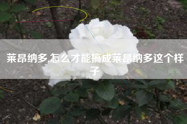 莱昂纳多,怎么才能搞成莱昂纳多这个样子