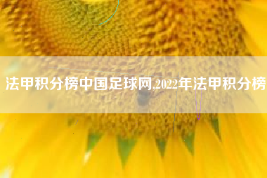 法甲积分榜中国足球网,2022年法甲积分榜