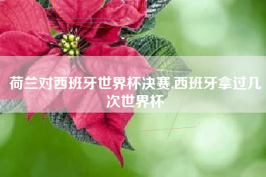 荷兰对西班牙世界杯决赛,西班牙拿过几次世界杯