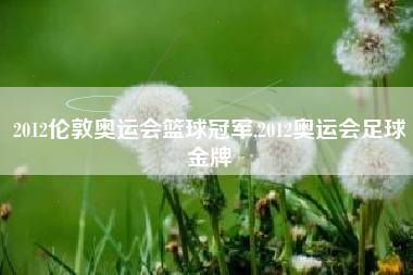 2012伦敦奥运会篮球冠军,2012奥运会足球金牌