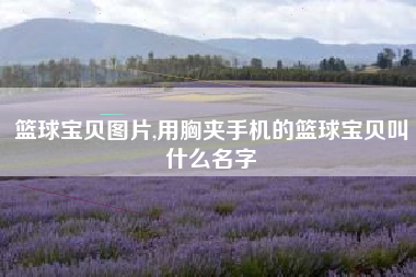 篮球宝贝图片,用胸夹手机的篮球宝贝叫什么名字