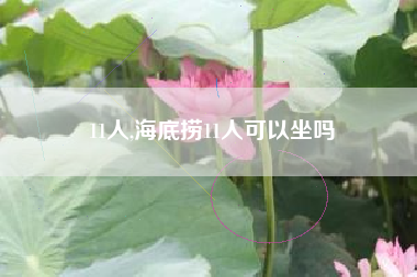 11人,海底捞11人可以坐吗