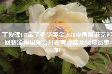 丁俊晖147拿了多少奖金,2018中国斯诺克巡回赛淄博国际公开赛有哪些顶级球员参加