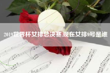2019世界杯女排总决赛,现在女排9号是谁