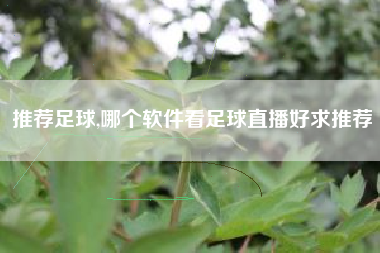 推荐足球,哪个软件看足球直播好求推荐