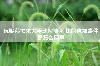 瓦妮莎需求大手动解决,科比的鹰郡事件是怎么回事