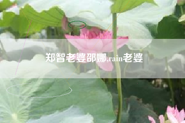 郑智老婆邵娜,rain老婆