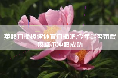 英超直播极速体育直播吧,今年能否带武汉卓尔冲超成功