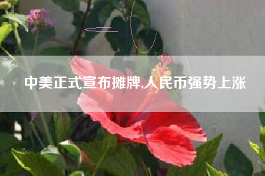 中美正式宣布摊牌,人民币强势上涨