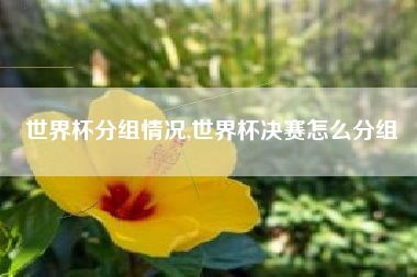 世界杯分组情况,世界杯决赛怎么分组