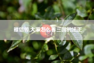 雅信传,大家怎么看三国的法正