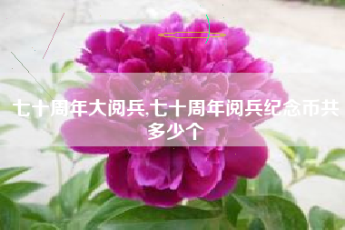 七十周年大阅兵,七十周年阅兵纪念币共多少个
