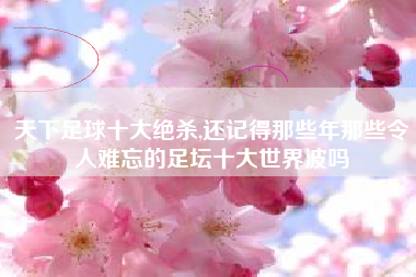 天下足球十大绝杀,还记得那些年那些令人难忘的足坛十大世界波吗