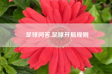 足球问答,足球开局规则
