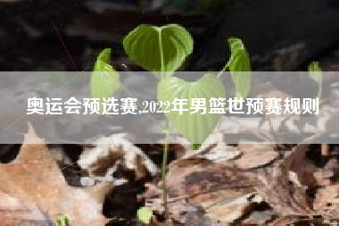 奥运会预选赛,2022年男篮世预赛规则