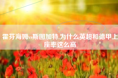 霍芬海姆vs斯图加特,为什么英超和德甲上座率这么高