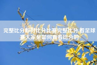 完整比分即时比分比赛完整比分,看足球赛大家是如何查看比分的