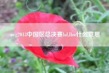 wcg2013中国区总决赛lol,lbw什么意思