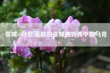 曼城vs马竞,英超的曼城遇到西甲的马竞