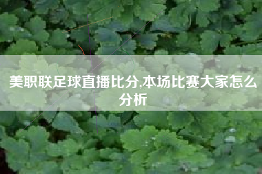 美职联足球直播比分,本场比赛大家怎么分析