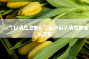 nba今日消息,詹姆斯会面火箭队消息被证实为假