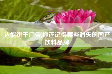 达能饼干广告,你还记得哪些消失的国产饮料品牌