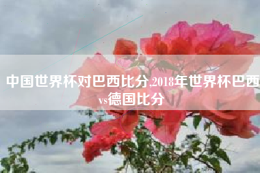 中国世界杯对巴西比分,2018年世界杯巴西vs德国比分