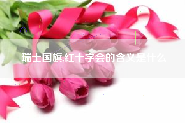 瑞士国旗,红十字会的含义是什么