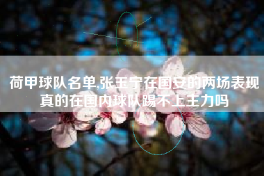 荷甲球队名单,张玉宁在国安的两场表现真的在国内球队踢不上主力吗