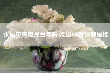 张韬中央电视台年龄,梁山108好汉都是谁