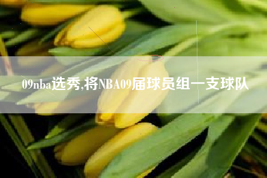 09nba选秀,将NBA09届球员组一支球队
