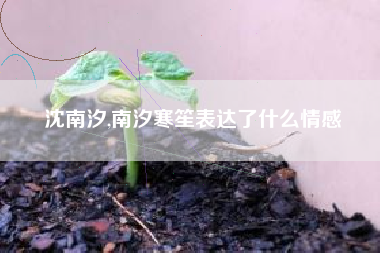 沈南汐,南汐寒笙表达了什么情感