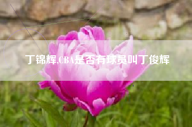 丁锦辉,CBA是否有球员叫丁俊辉