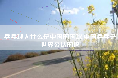 乒乓球为什么是中国的国球,中国乒乓是世界公认的吗