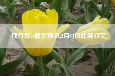 独行侠vs掘金预测,2月14日比赛打完