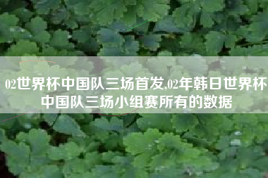 02世界杯中国队三场首发,02年韩日世界杯中国队三场小组赛所有的数据