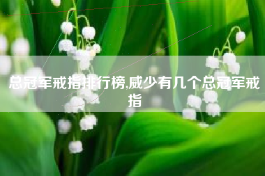 总冠军戒指排行榜,威少有几个总冠军戒指