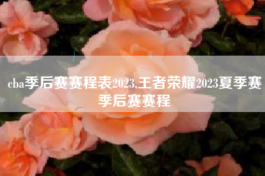 cba季后赛赛程表2023,王者荣耀2023夏季赛季后赛赛程