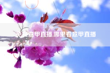 免费意甲直播,哪里看意甲直播