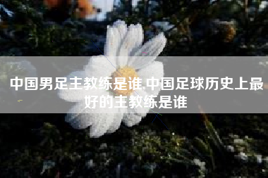 中国男足主教练是谁,中国足球历史上最好的主教练是谁