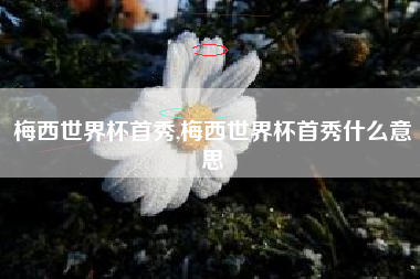梅西世界杯首秀,梅西世界杯首秀什么意思