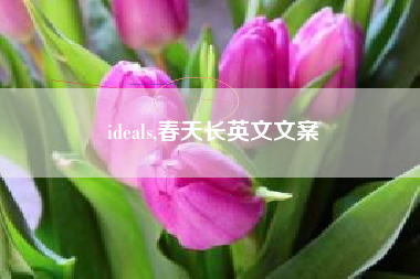 ideals,春天长英文文案